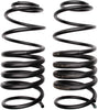 ACDelco 45H3124 Professional Rear Coil Spring Set