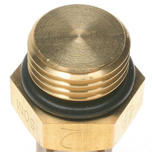 ACDelco 213-3231 Professional Automatic Transmission Oil Temperature Sensor