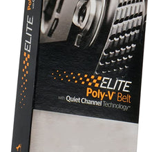 Continental D4060519 Dual-Sided Poly-V/Serpentine Belt