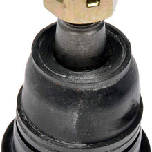Dorman - OE Solutions 536-998 Suspension Ball Joint