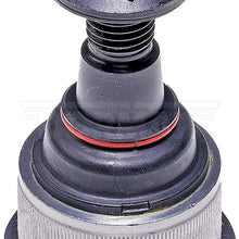 DORMAN BJ81116XL Suspension Ball Joint
