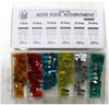 ToolUSA 120 Piece Auto Fuse Set: HW-96120