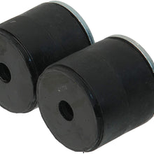Autotecnica Parts GM083204 Radiator Support Bushing Kit, Includes 2pcs
