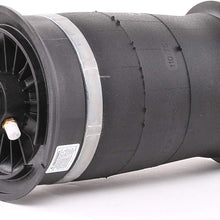 Arnott A-2780 Rear Air Spring (10-14 BMW 5 Series (F07, F11) - Left or Right)
