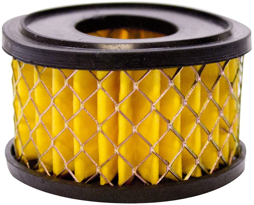 Powermate Vx 019-0280RP Air Filter Canister with Element