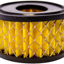 Powermate Vx 019-0280RP Air Filter Canister with Element