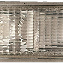Dorman 1630011 Front Passenger Side Turn Signal / Parking Light Assembly for Select Chevrolet / GMC Models