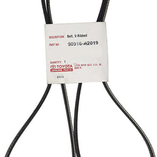 Genuine Toyota (90916-A2019) V-Belt