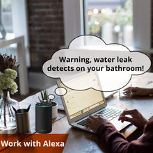 Smart Leak Sensors 2 Pack, YoLink 1/4 Mile World's Longest Range Wireless Smart Water Leak Sensor Compatible with Alexa and IFTTT Leak Detector with App Alerts and Remote Monitor, YoLink Hub Included