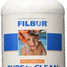 Filbur FC-6350 Pure n' Clean Cartridge and DE Filter Cleaner, 32-Ounce