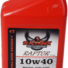 Blackhawk Lubricants Raptor 4T 10W40 4 Stroke Ester Synthetic Blend High Performance Engine Oil 10W-40 1 Quartt (10)