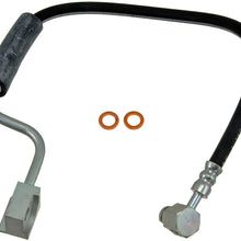 Dorman H380356 Hydraulic Brake Hose