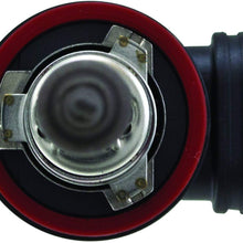 HELLA H83300012 H11 12V 55W High Performance 2.0 Bulb Kit