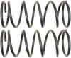 ACDelco 45H2158 Professional Rear Coil Spring Set