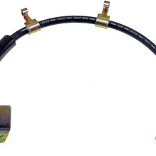Dorman H620181 Hydraulic Brake Hose