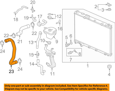 Honda Lower Radiator Hose