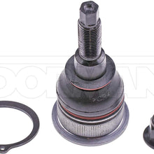 DORMAN BJ65685XL Suspension Ball Joint