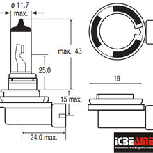 ICBEAMER H11 55W Low Beam or Fog Lamps Replacement for Auto Factory Halogen Standard Color Head Light Bulbs