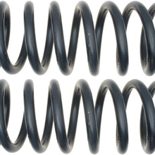 ACDelco 45H2144 Professional Rear Coil Spring Set