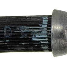 Dorman H77863 Hydraulic Brake Hose