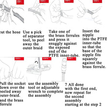 EVIL ENERGY 10AN Straight PTFE E85 Hose End Oil Fuel Line Fitting Adapter RED&BLUE