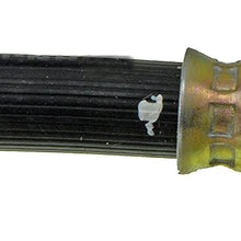 Dorman H36789 Hydraulic Brake Hose