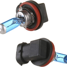CK FORMULA (Set of 2) H11 Halogen Headlight Bulbs (Low Beam) 12V 100W 5000K Super White, PGJ19-2 Base