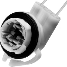 ACDelco LS97 GM Original Equipment Multi-Purpose Lamp Socket