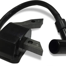 ENGINERUN EX 27 EX 30 Ignition Coil Module Compatible with Robin Subaru EX27 EX30 Engine OEM 279-79430-11 2797943011
