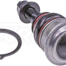 DORMAN BJ65685XL Suspension Ball Joint