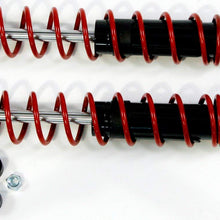 ACDelco 519-32 Specialty Front Spring Assisted Shock Absorber
