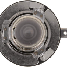 Bosch Automotive H11BST H11BST Light Bulb