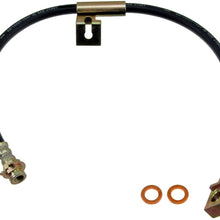 Dorman H38166 Hydraulic Brake Hose