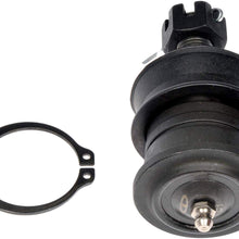 Dorman - OE Solutions 536-925 Suspension Ball Joint