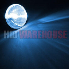 HID-Warehouse AC HID Xenon Replacement Bulbs - H11 10000K - Dark Blue (1 Pair) - 2 Year Warranty