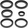 DIFFERENTIAL SEAL KIT, Manufacturer: ALL BALLS, Part Number: 132331-AD, VPN: 25-2062-5-AD, Condition: New