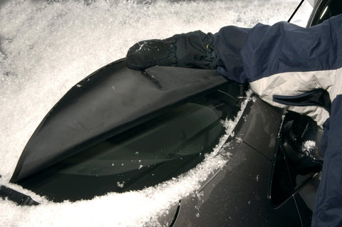 Intro-Tech NS-77A-S Windshield Snow Shade