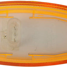 Dorman 888-5240 Turn Signal and Side Marker Light for Select International Models