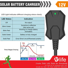SUNER POWER 12V Waterproof Solar Battery Trickle Charger & Maintainer - 20 Watts Solar Panel Built-in Intelligent MPPT Solar Charge Controller + Adjustable Mount Bracket + SAE Connection Cable Kits
