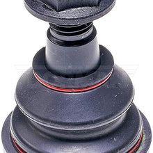 DORMAN BJ91025XL Suspension Ball Joint