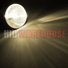HID-Warehouse HID Xenon Replacement Bulbs - H13 / 9008 4300K - Bright Daylight (1 Pair) - 2 Year Warranty