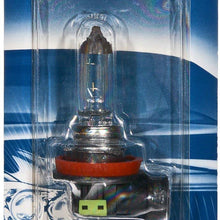 Bosch Automotive H11ST Light Bulb
