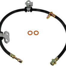 Dorman H381171 Hydraulic Brake Hose