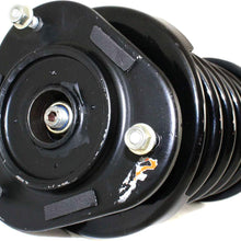 Strut Assembly Compatible with Toyota Corolla 93-02 / Prizm 98-02 Front Right Assembly Gas-Charged Twin-Tube