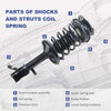 MOSTPLUS Front & Rear Complete Strut & Spring Assemblies Shock Absorbers Compatible for 93-02 TOYOTA COROLLA (Set of 4)