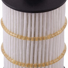 PG Oil Filter, Extended Life PG9981EX | Fits 2013-18 Audi A8 Quattro, S6, S7, S8, 2014-18 RS7