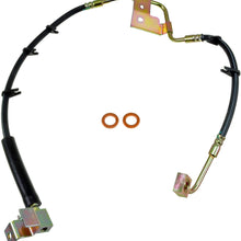Dorman H620176 Hydraulic Brake Hose