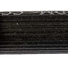 Dorman H380565 Hydraulic Brake Hose