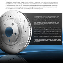 CDS02088 REAR Premium Grade D/S 308 mm [2] Rotors
