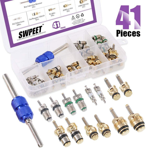 Swpeet 41Pcs R12 / R134a AC Master Valve Core Repair Kit, Including Assortment R12 R134a Valve Core Refrigeration Tire Valve Stem Cores with Remover Tool for Most Cars